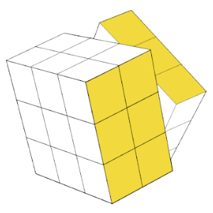 Flexibilité CottonTail Logiciels